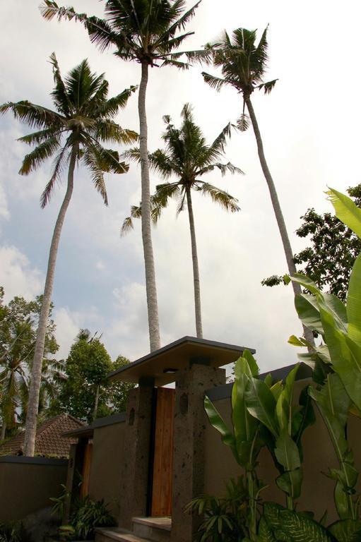 Villa Padma Ubud 외부 사진